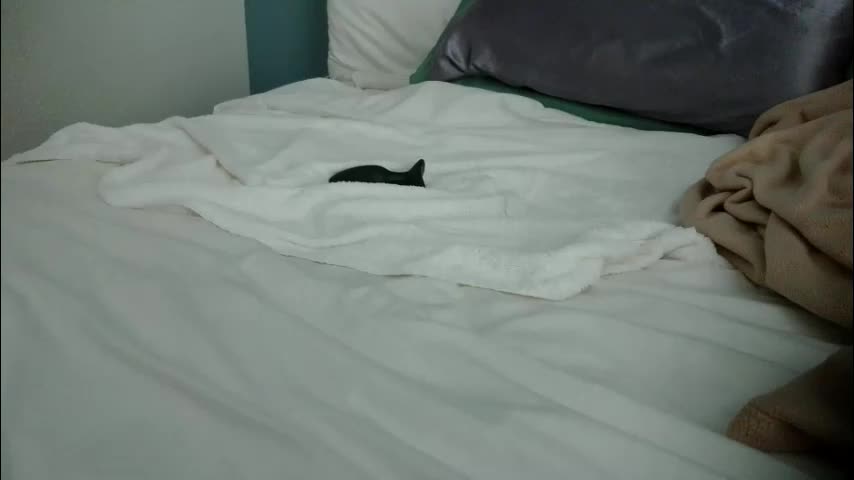 kate4unow Adult Chat December 8, 2025