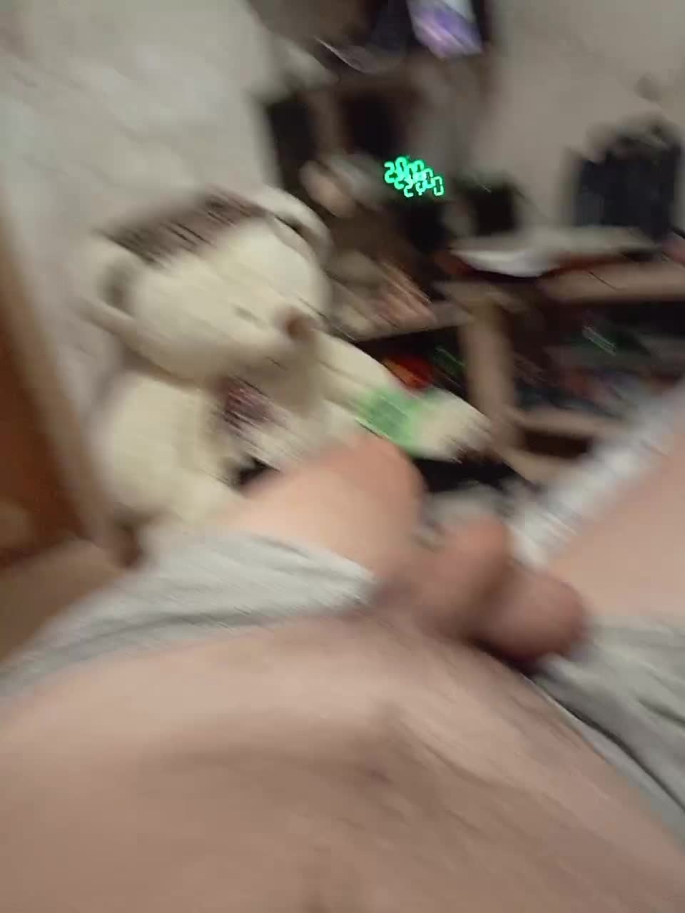 Schastlivchik10 Adult Chat December 8, 2025