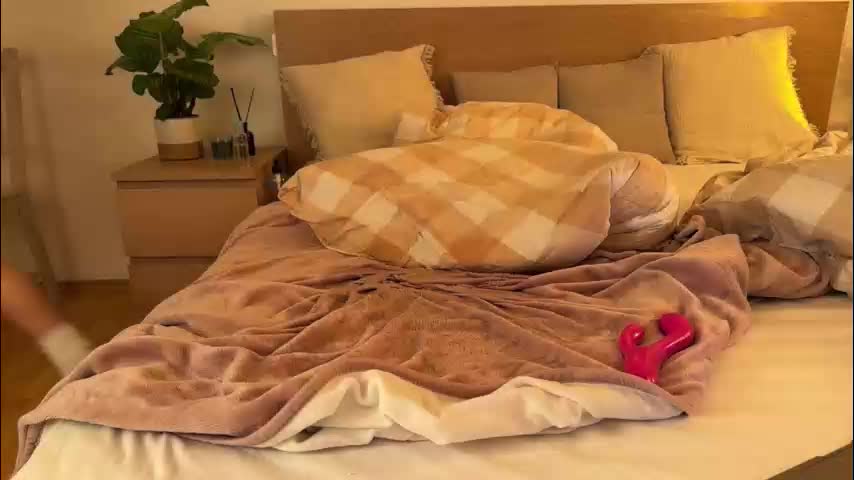 sophie_amalia Adult Chat December 8, 2025