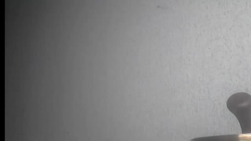 Gospozha-888 Adult Chat December 8, 2025