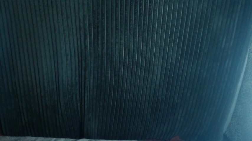 1BECHA1 Adult Chat December 8, 2025