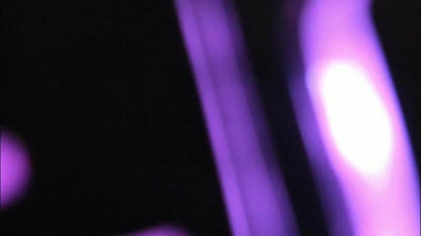 synop_sis Adult Chat December 8, 2025