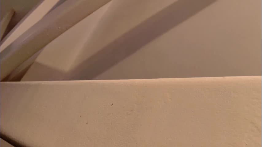 sun_place Adult Chat December 8, 2025