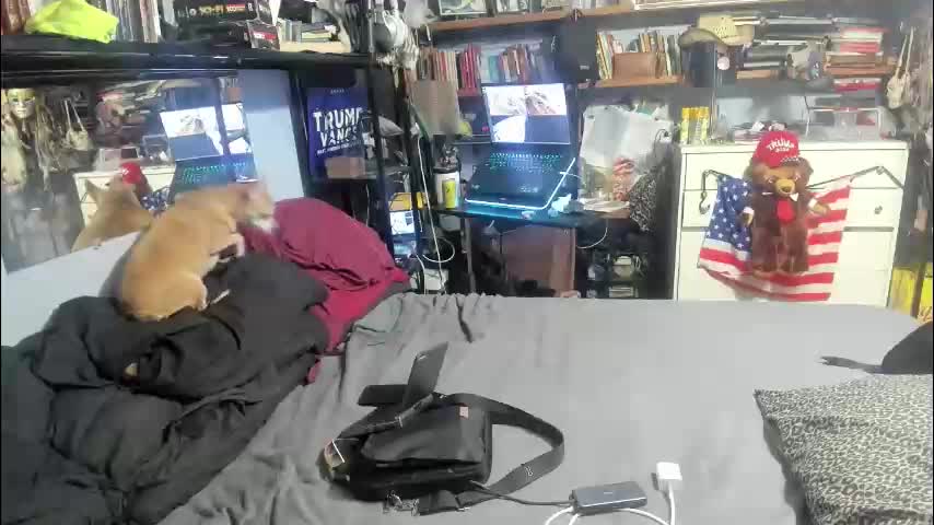 pink_black Adult Chat December 8, 2025