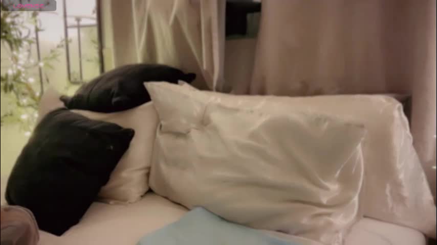 demontriaxx Adult Chat December 9, 2025