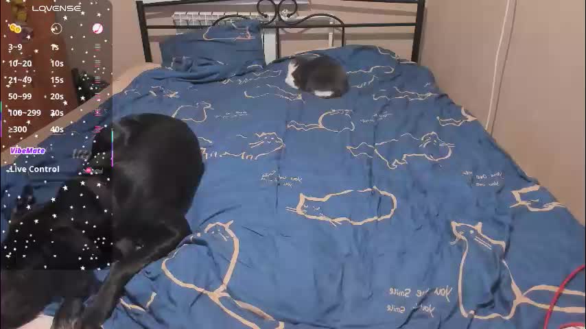 eva_zero Adult Chat December 8, 2025