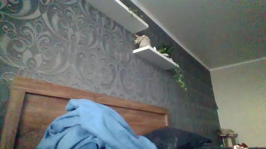 Baby_Mon Adult Chat December 9, 2025