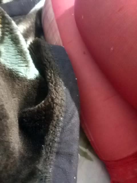 Diana17Eg Adult Chat December 9, 2025