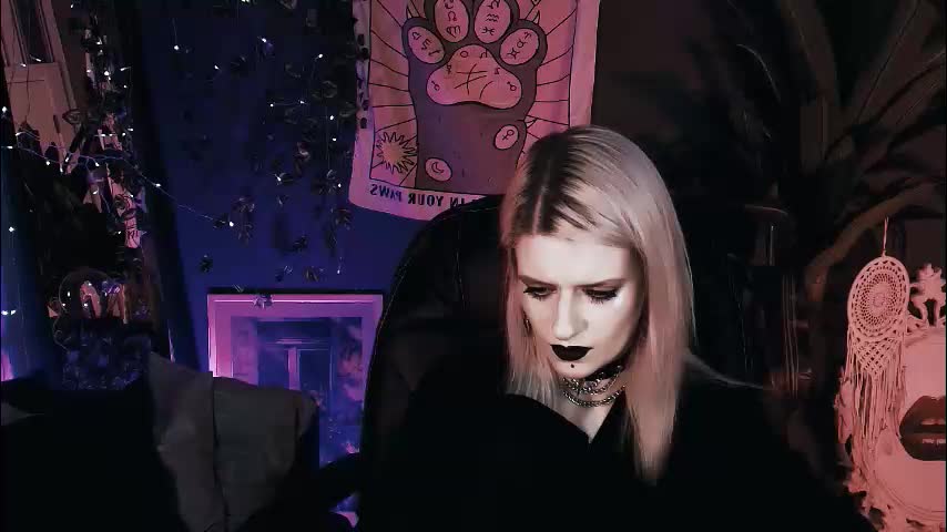 noah_elmer Adult Chat December 9, 2025