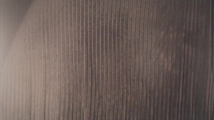 1BECHA1 Adult Chat December 9, 2025