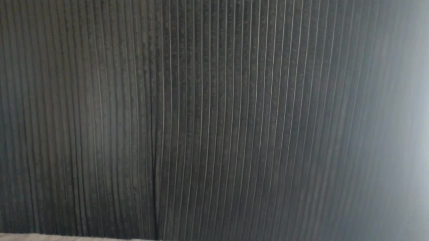 1BECHA1 Adult Chat December 9, 2025