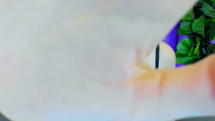 sexyangeloux Adult Chat December 10, 2025