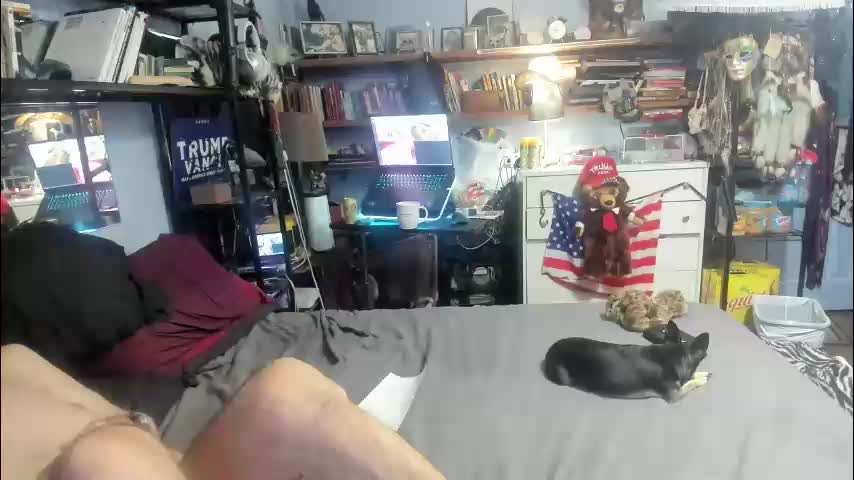 pink_black Adult Chat December 10, 2025