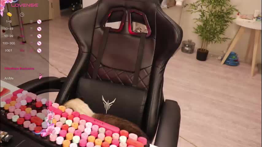 _viv1an_ Adult Chat December 10, 2025