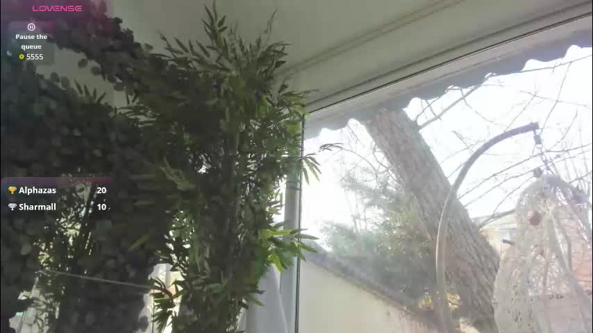 lexi_storm Adult Chat December 11, 2025