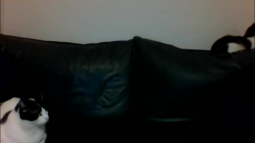 milagaborxx Adult Chat December 10, 2025