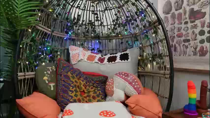 bendingofwillow Adult Chat December 11, 2025