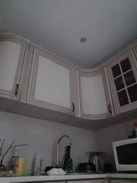 Zlykaa Adult Chat December 11, 2025