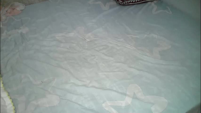 sly_booty65 Adult Chat December 11, 2025