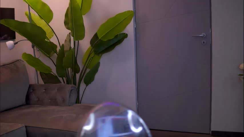 ellieredd Adult Chat December 11, 2025