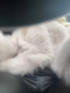 NurseTDoc Adult Chat December 11, 2025