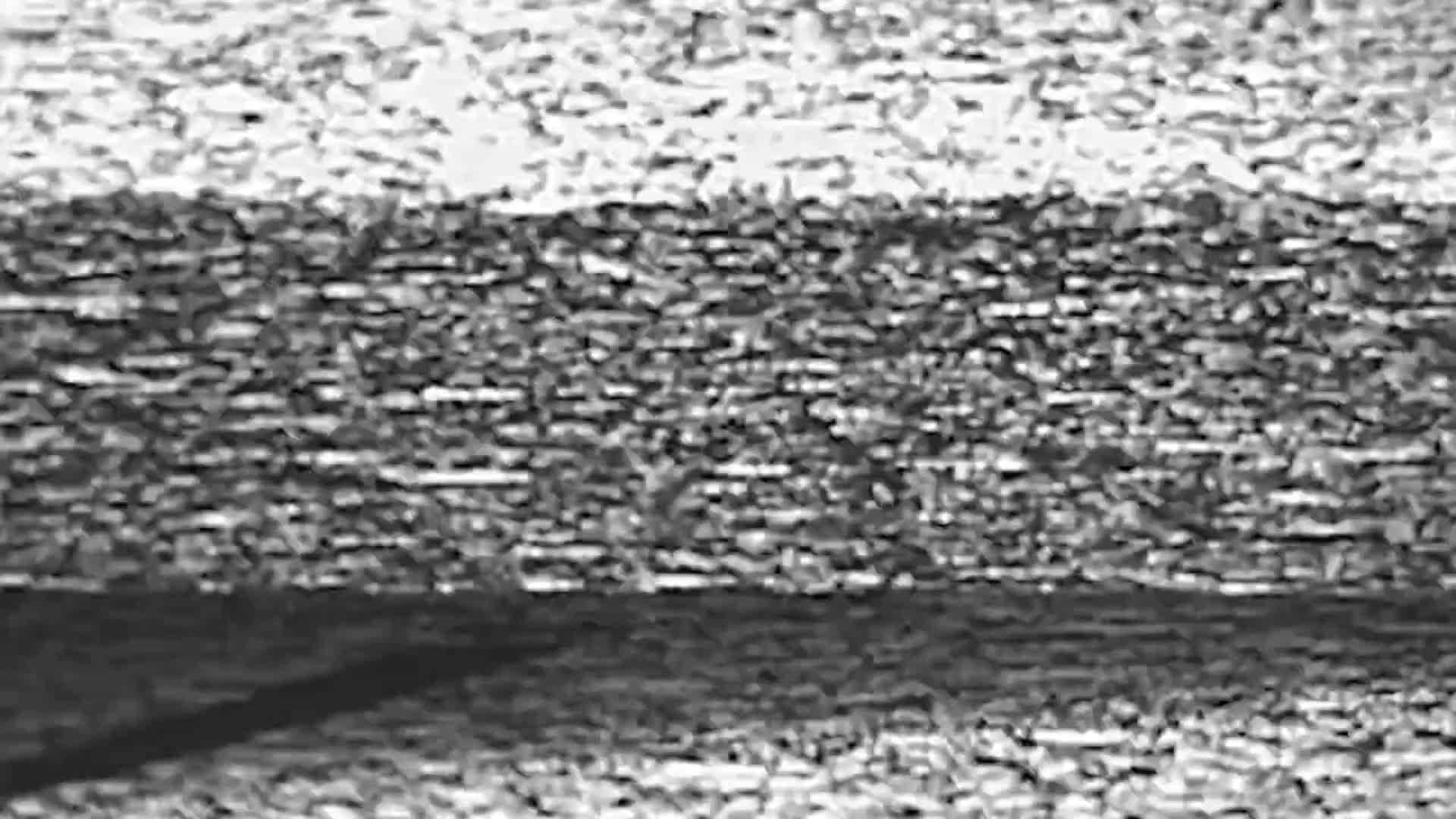 TwiceAsHotXXX Adult Chat December 11, 2025