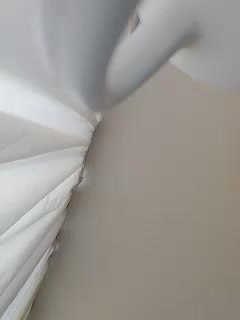 Lola3000 Adult Chat December 11, 2025