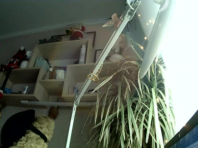 Bella1ove Adult Chat December 11, 2025