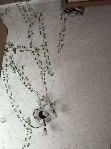 AmmyHot Adult Chat December 11, 2025