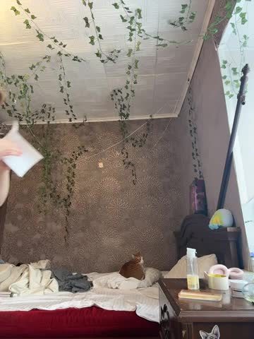 AmmyHot Adult Chat December 11, 2025