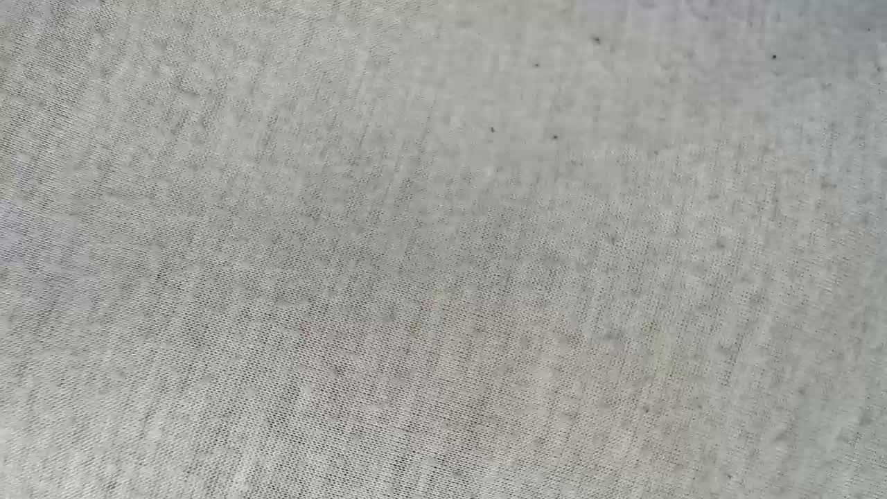 Veta-Viola Adult Chat December 12, 2025