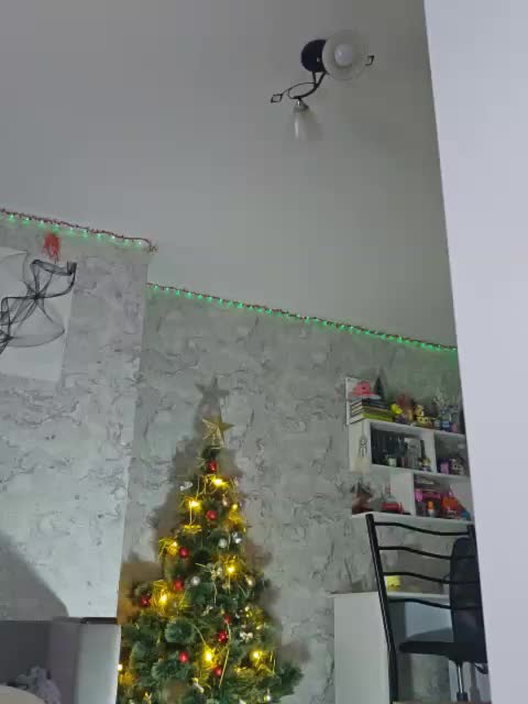 _Toxic_Tiger_ Adult Chat December 12, 2025