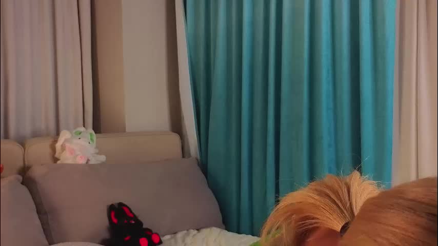 jolyndeb Adult Chat December 12, 2025