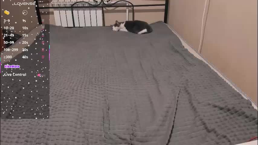 eva_zero Adult Chat December 13, 2025