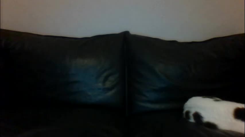 milagaborxx Adult Chat December 13, 2025