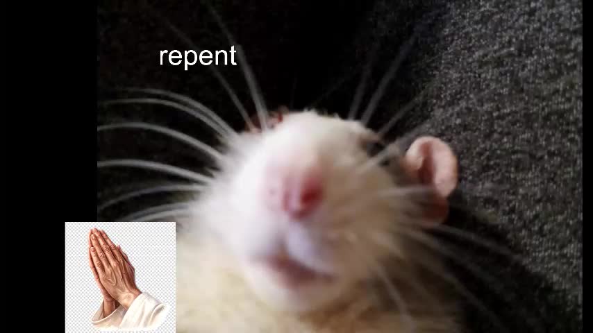 wyvernwench Adult Chat December 13, 2025