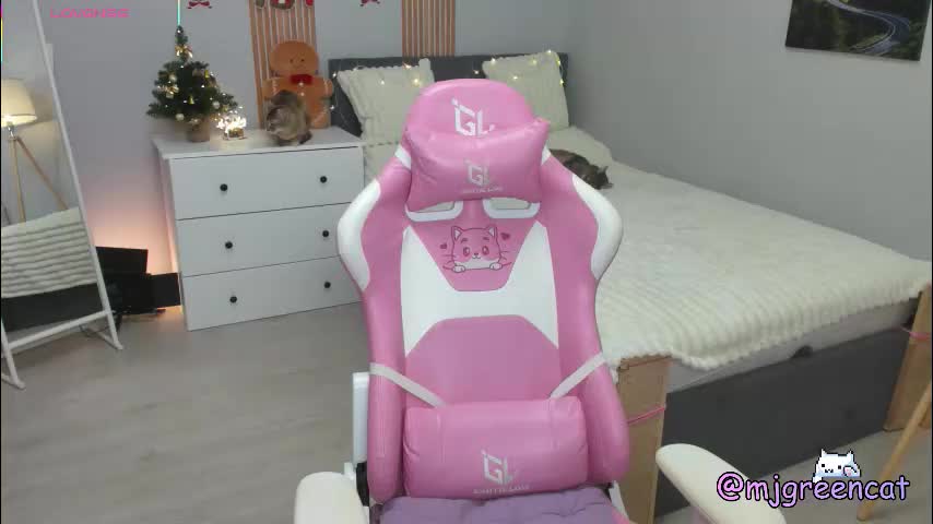 mjgreencat Adult Chat December 13, 2025
