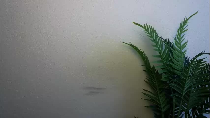 veryveryshygirl Adult Chat December 13, 2025