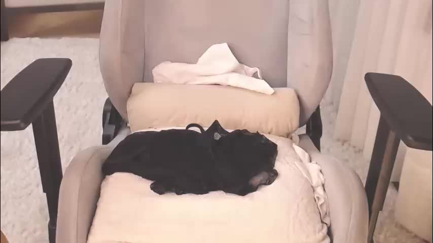 ms_hot_milf Adult Chat December 13, 2025