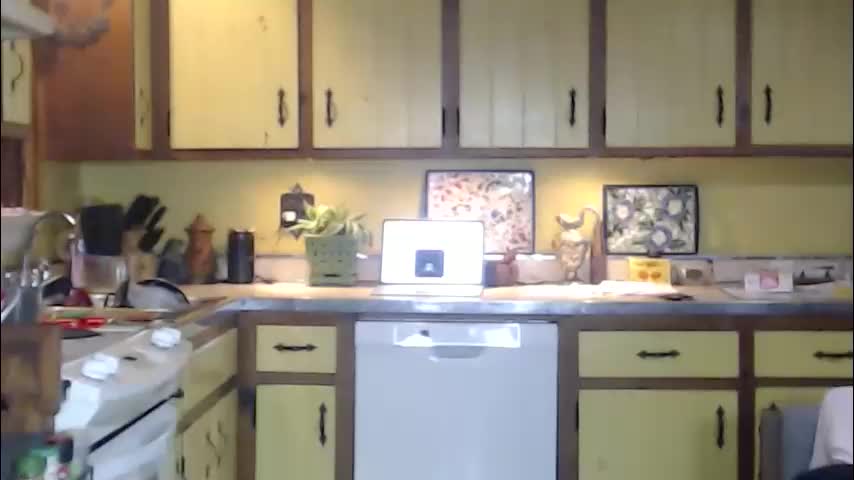 catalystic Adult Chat December 13, 2025