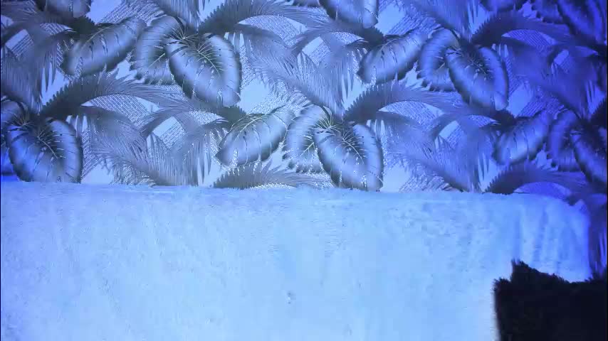 sweeeet_poison Adult Chat December 13, 2025