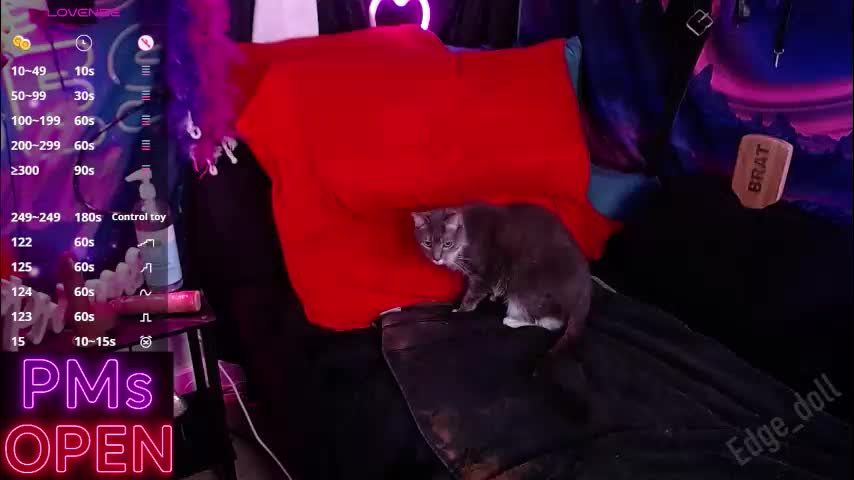 edge_doll Adult Chat December 13, 2025