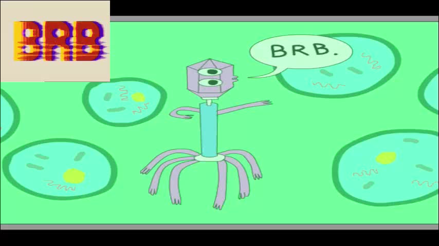 aprill_o_nill Adult Chat December 13, 2025