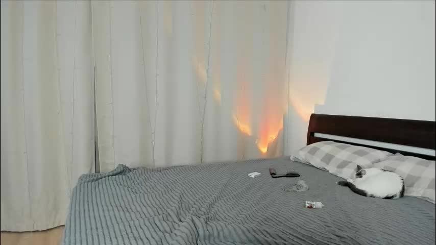 xloe_queen Adult Chat December 14, 2025