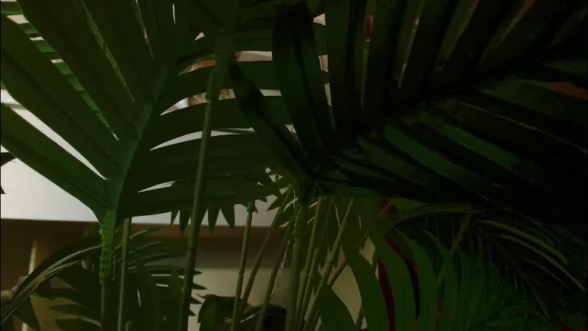 imcarrieberry Adult Chat December 13, 2025