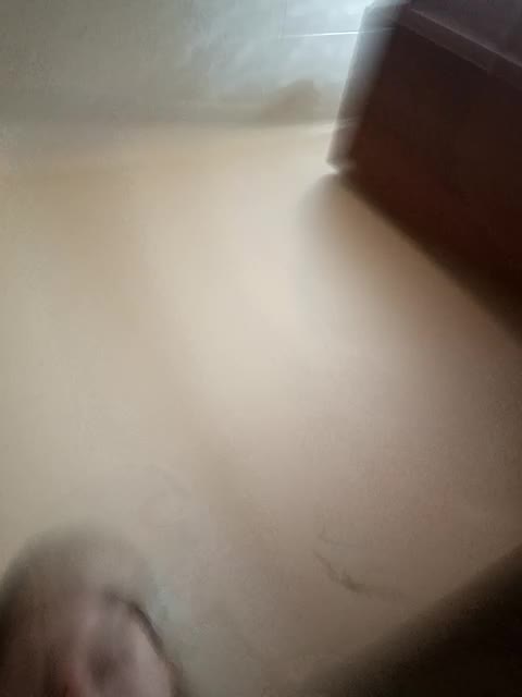 Kissa96 Adult Chat December 14, 2025