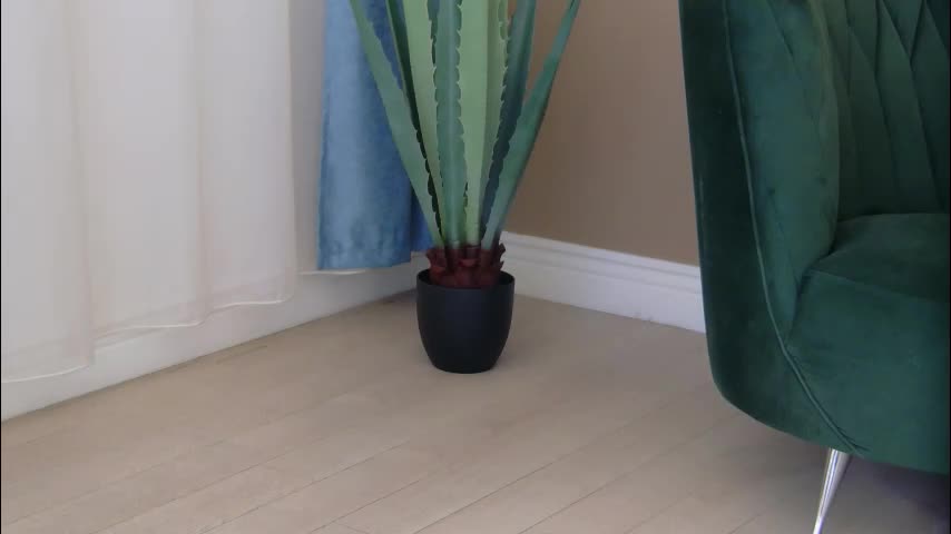 bailey_rush Adult Chat December 14, 2025