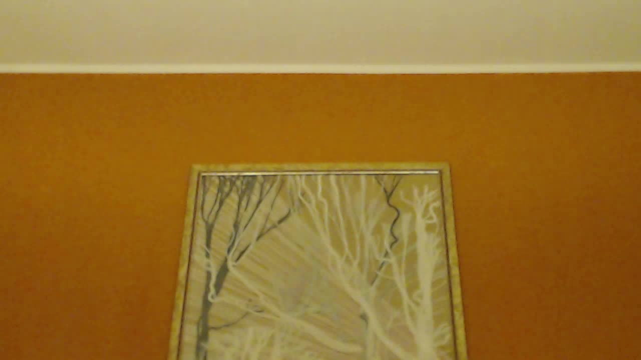 Lora8888 Adult Chat December 14, 2025