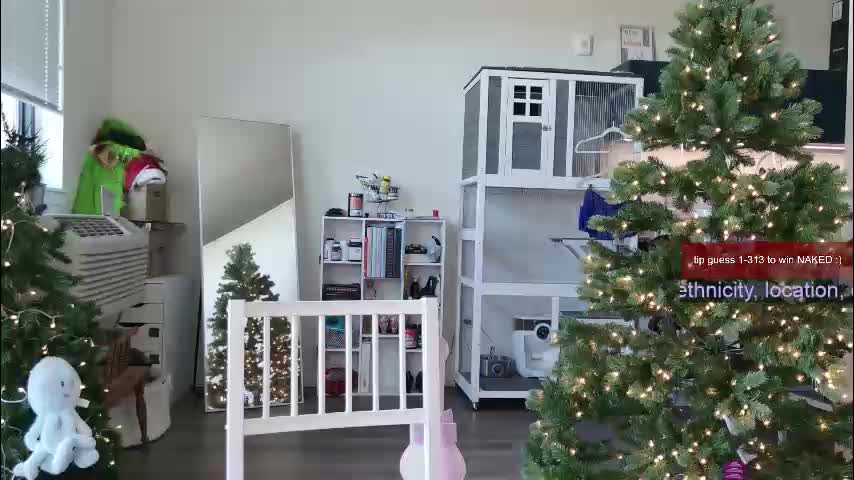 ms_mochii Adult Chat December 14, 2025