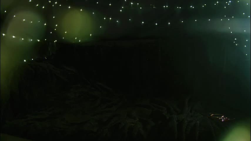 littlespacemouse Adult Chat December 12, 2025